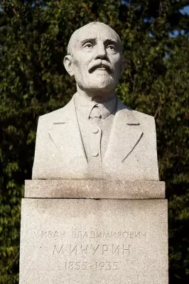 Michurin CGL