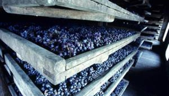 хранение винограда на стеллажах