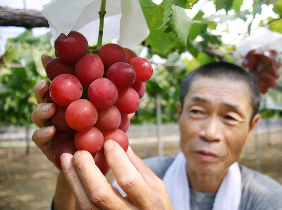 японский виноград